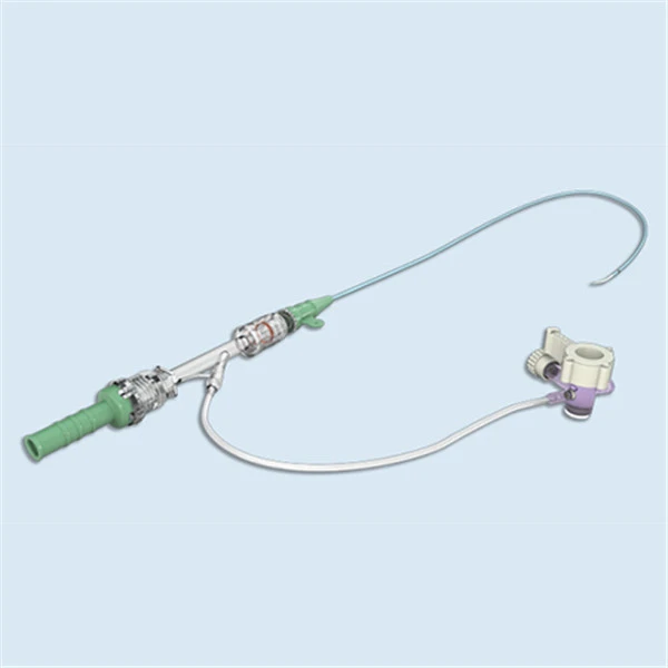 Endovascular Sheath (1)